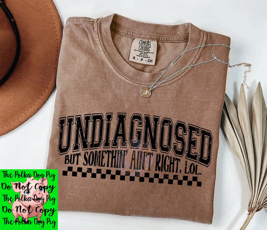 Undiagnosed but something aint right shirts