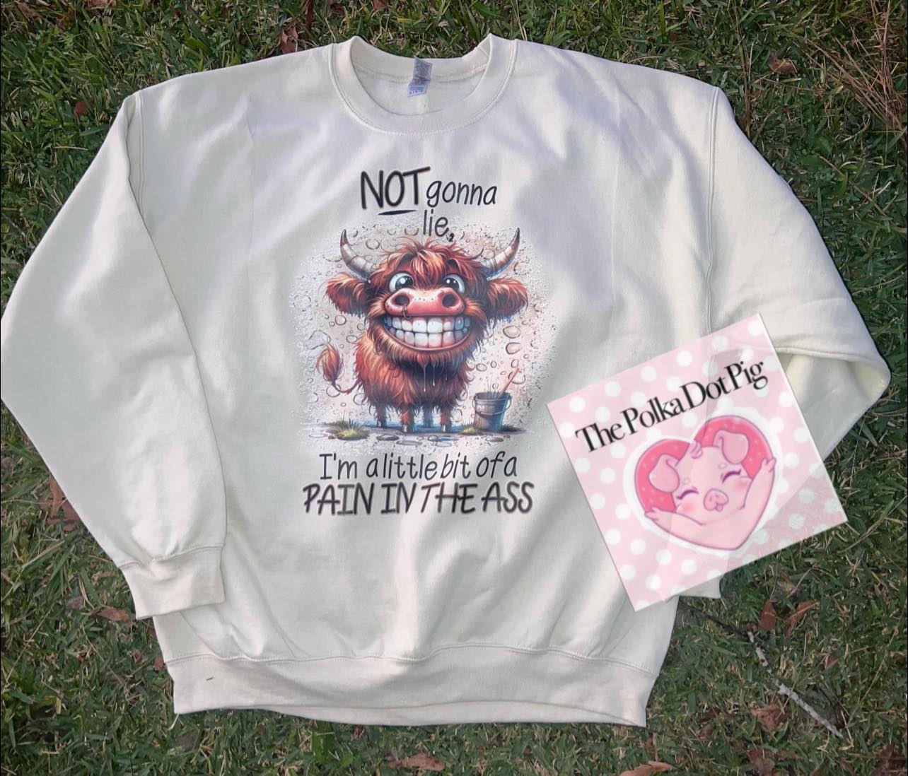 Not to gonna lie im a little bit of a pain in the rear shirt